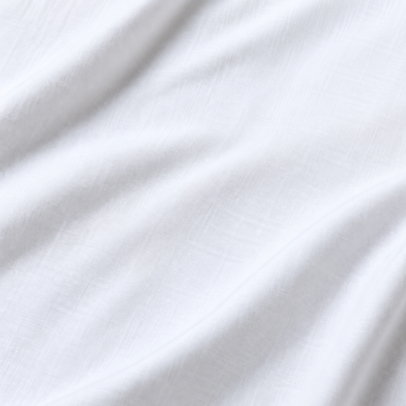 Clothes before StainXpert