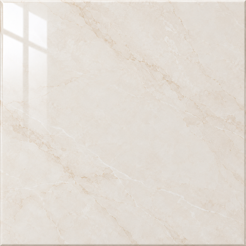 Ceramic Tiles before StainXpert